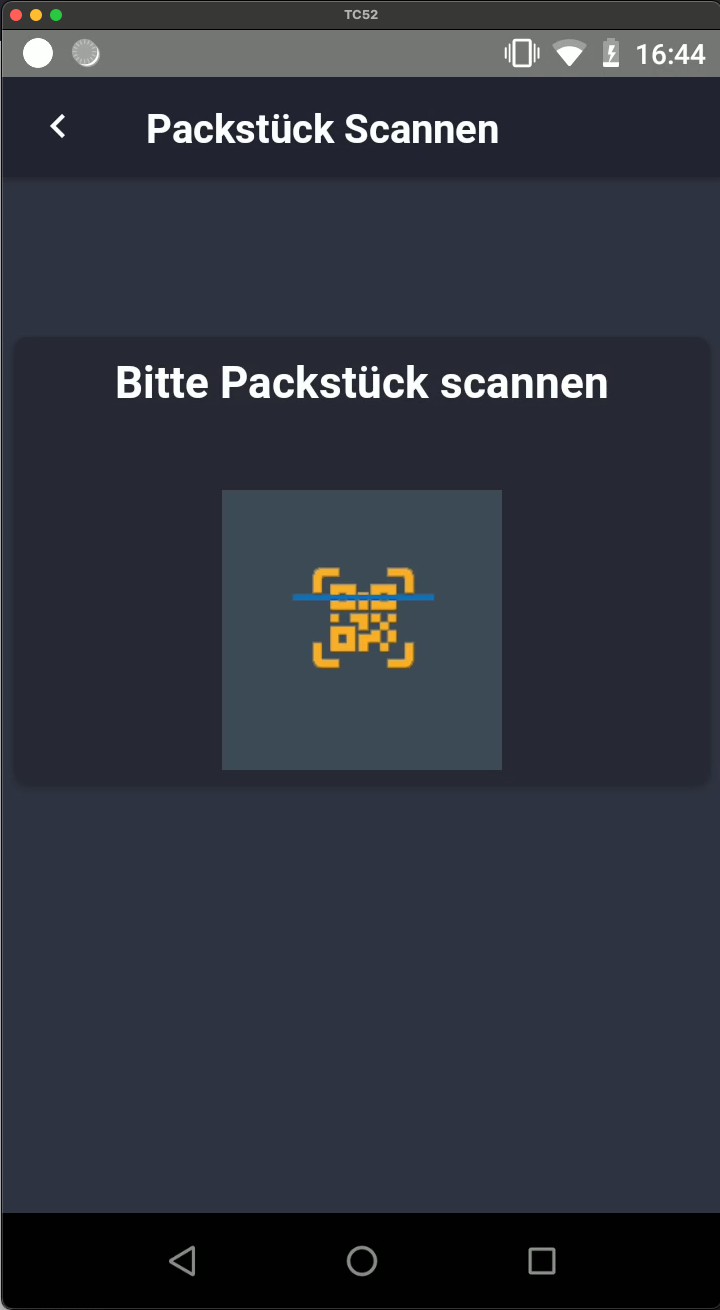 Packstück Scannen